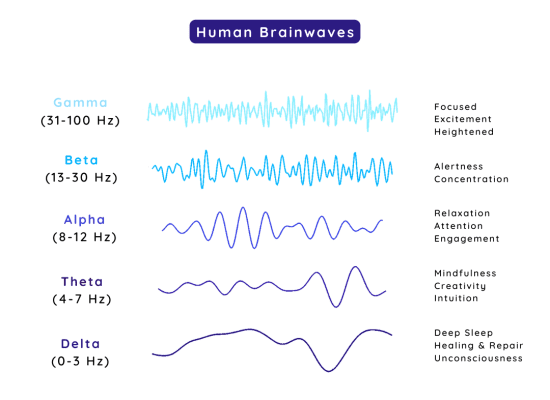 Human Brainwaves Graphic